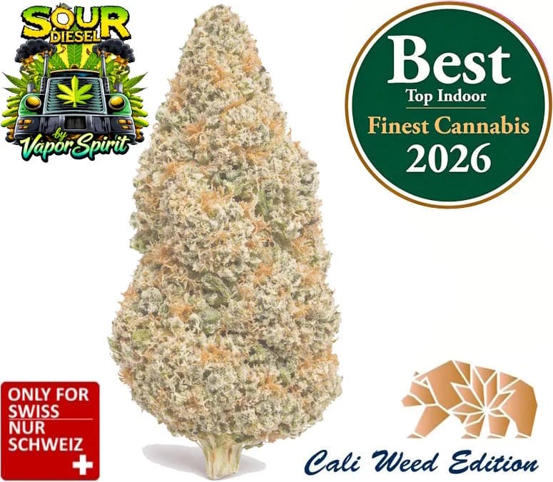 Diesel CBD flower Sour Diesel close-up