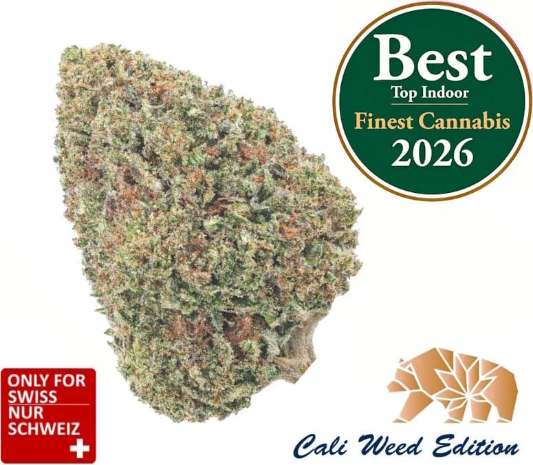 Bubba Kush CBD