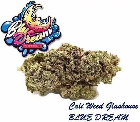 CBD Blue Dream CBD flower Greenhouse Switzerland THC under 1 percent
