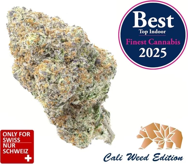 Infiorescenze CBD Granddaddy Purple
