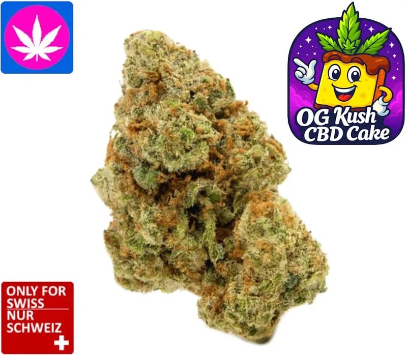 OG Kush CBD Cake flower Indoor – compact resinous CBD flower with Kush aroma, buy in Switzerland