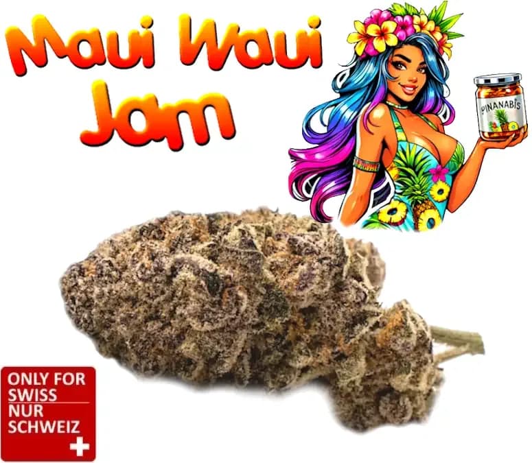 Infiorescenze CBD Maui Waui