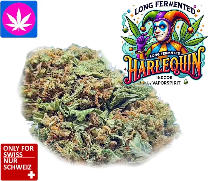 Harlequin CBD Weed