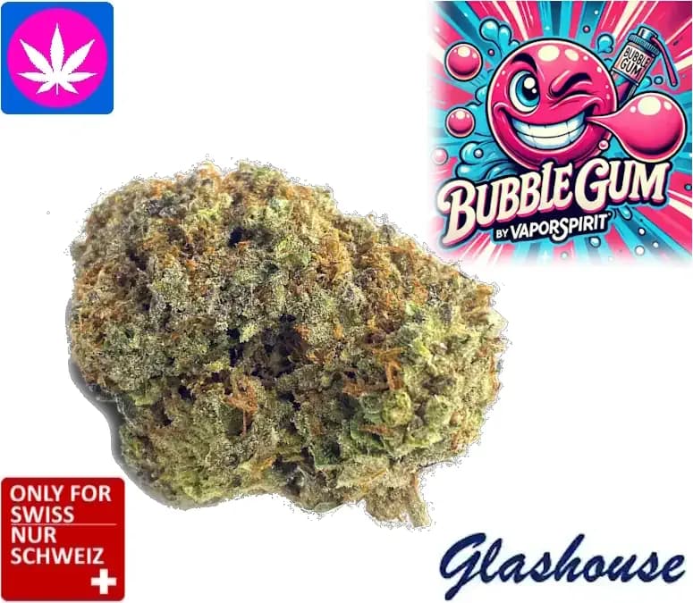 bubble gum cbd