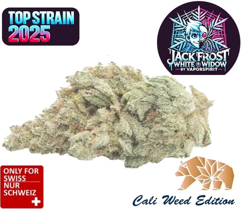 white widow cbd