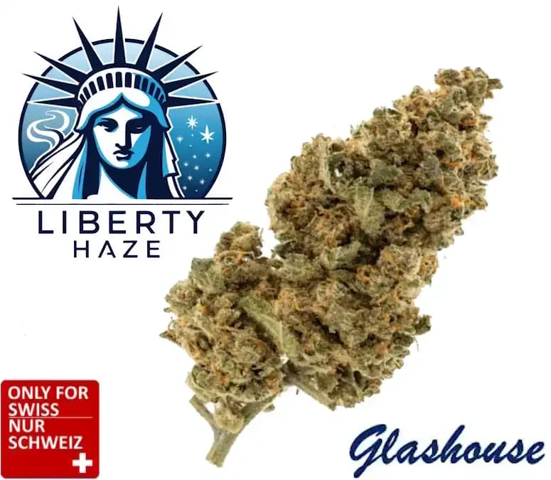 CBD Liberty Haze