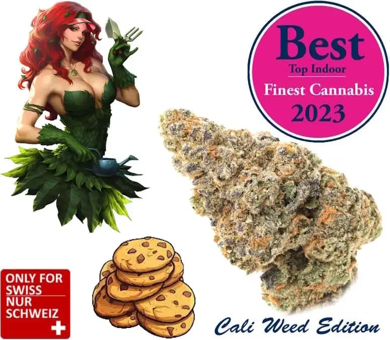 cookies CBD