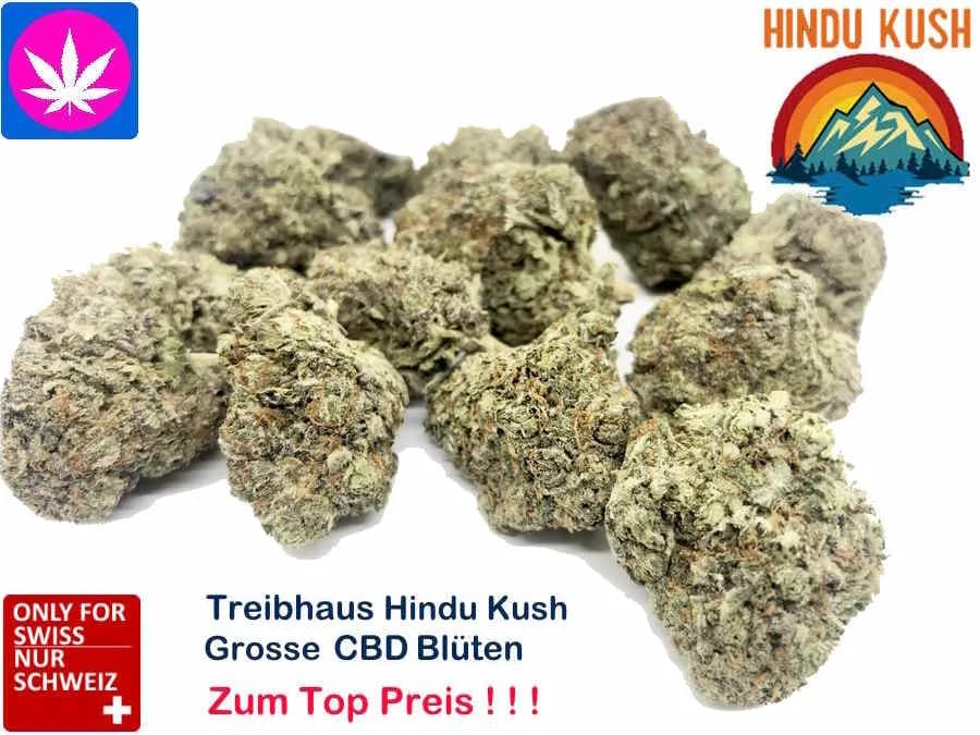 Hindu Kush CBD