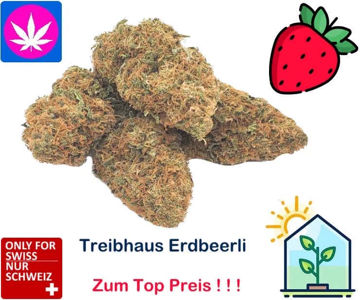 haze berry cbd