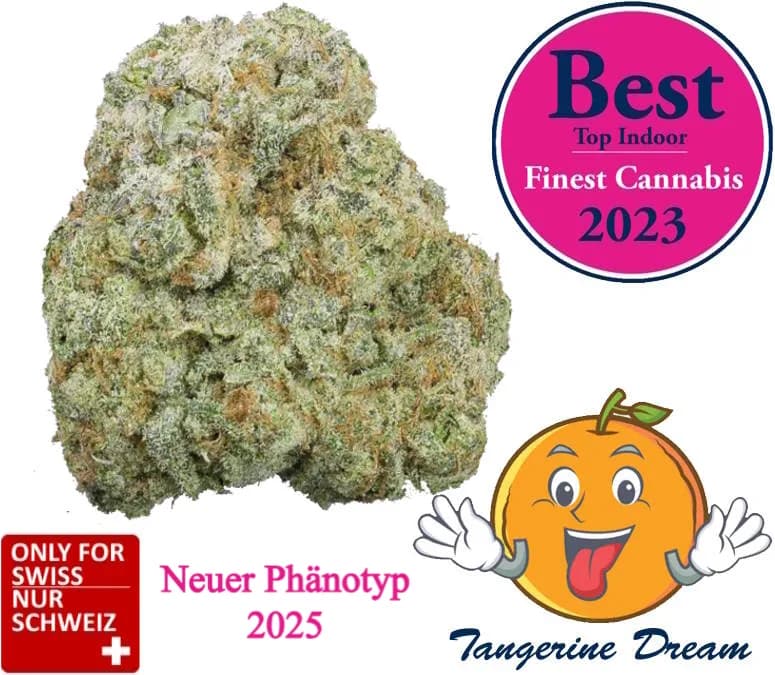 tangerine cbd