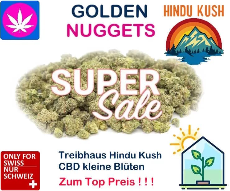 Infiorescenze CBD Hindu Kush