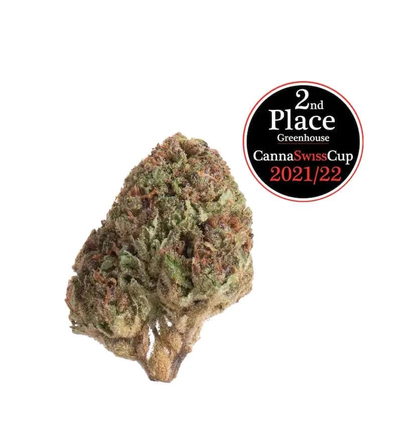 Cookie Kush CBD
