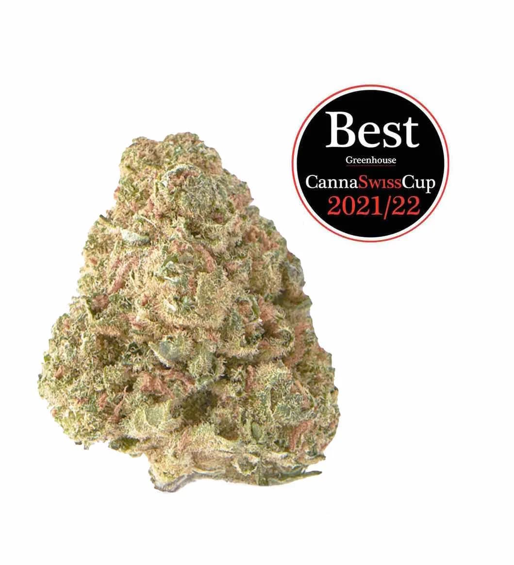 Limon Haze CBD
