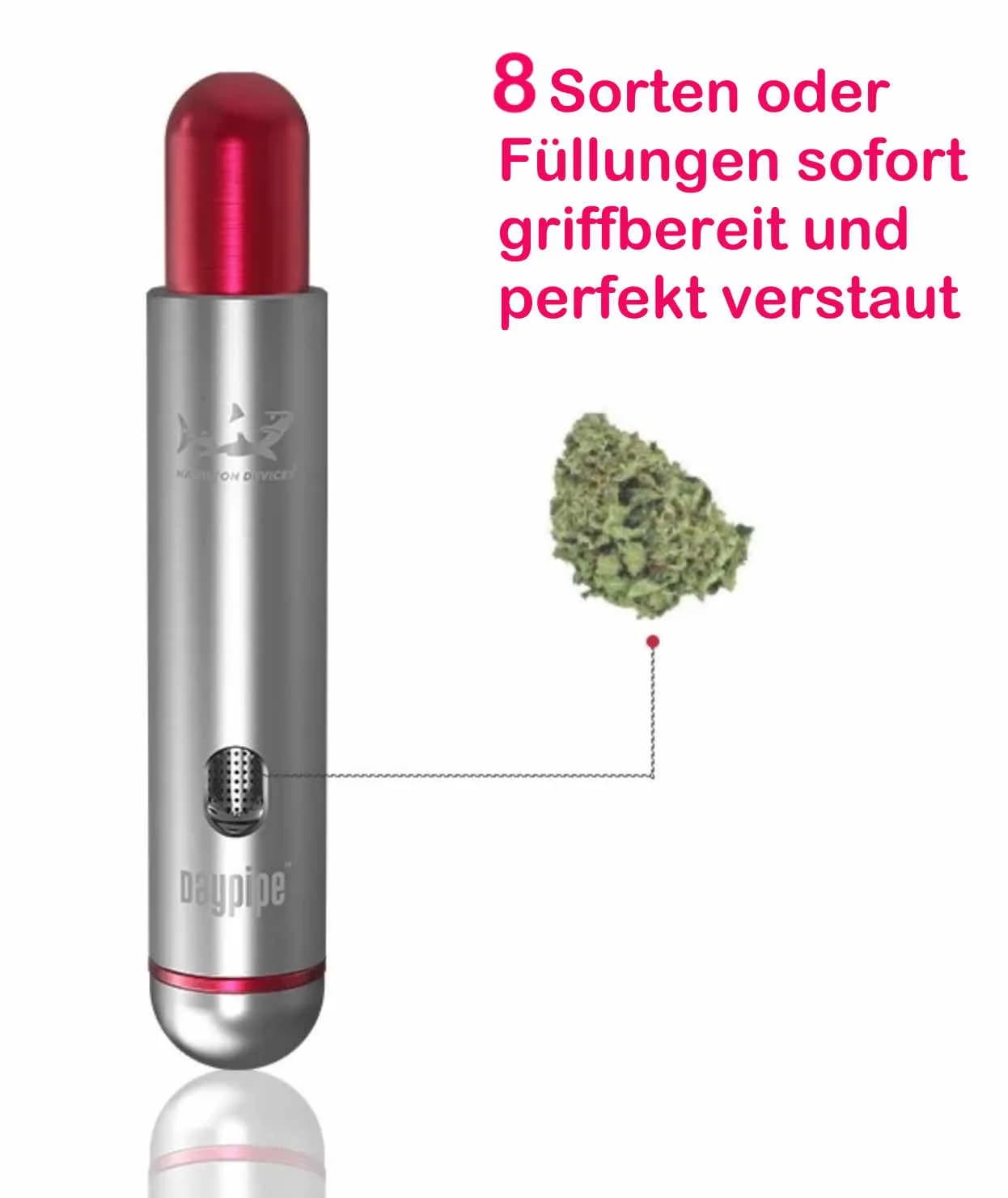 Hamiltion Daypipe