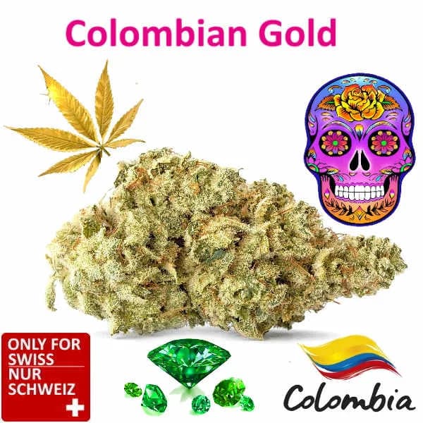 Infiorescenze CBD Colombian Gold