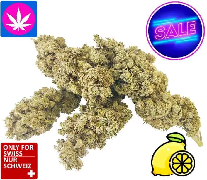 CBD Lemon Kush