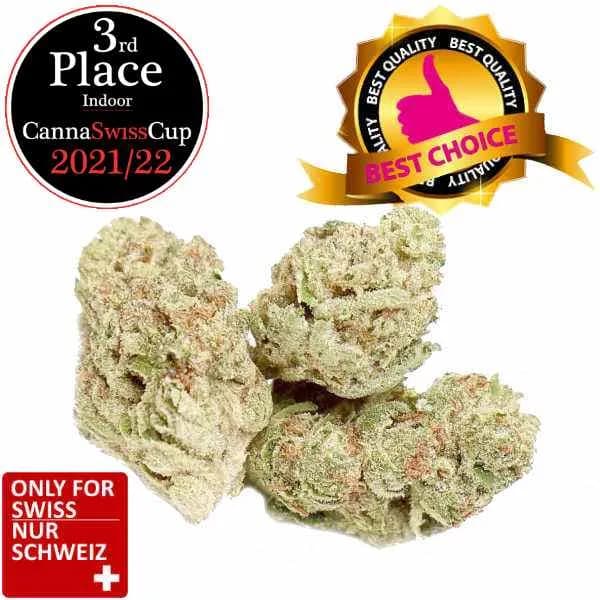Infiorescenze CBD Do Si Dos