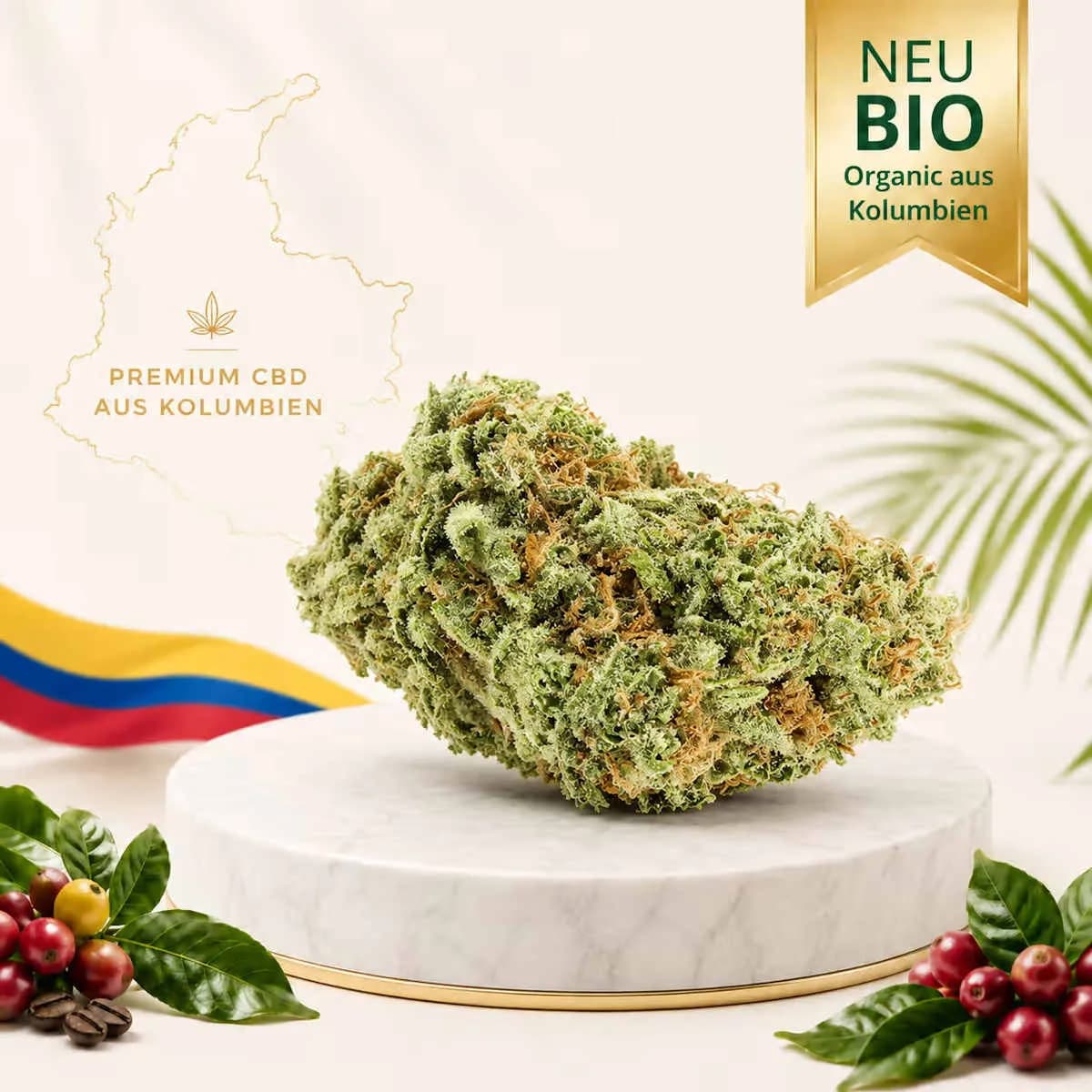 Infiorescenze Amnesia Cheese Haze CBD-V di Vapor Spirit