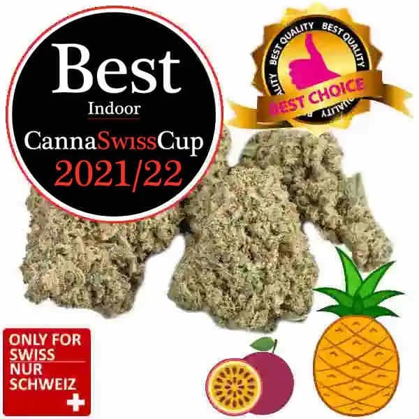 CBD Cup