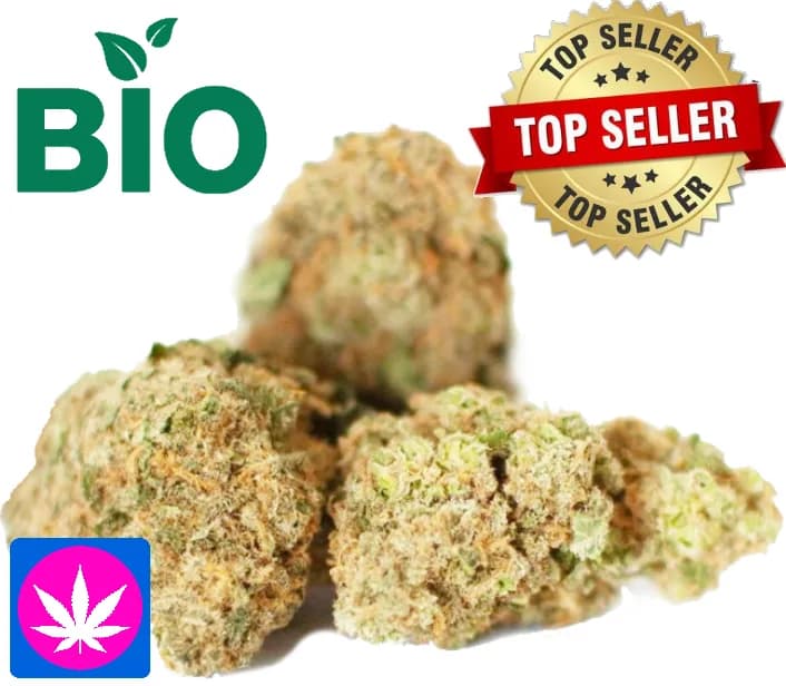 CBD Canna Tonic