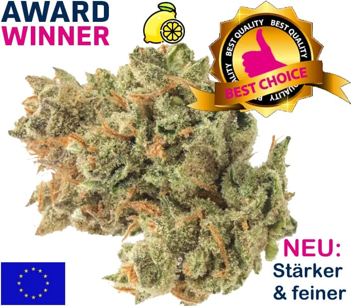 Lemon Haze Allemagne