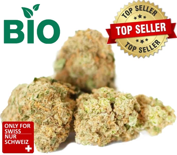 CBD Canna Tonic