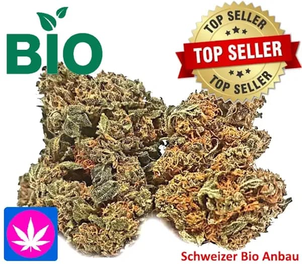 strawberry CBD