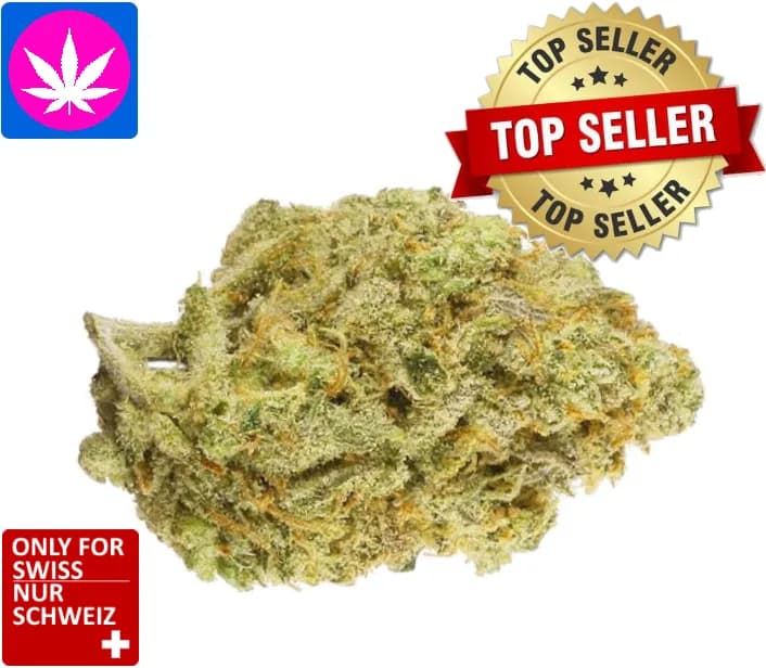 buy cbd super lemon haze