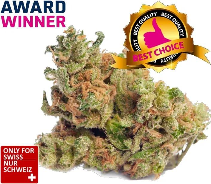 CBD flower Harlequin 1kg